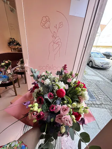 SofiBloom